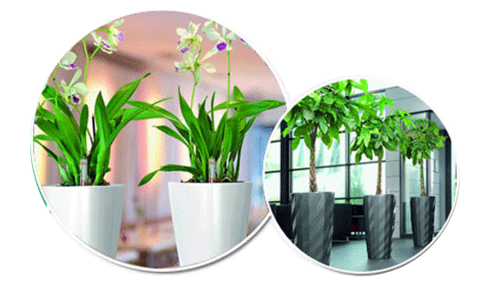 多年行業(yè)精研經(jīng)驗(yàn)豐富