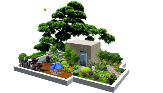 專注花卉植物租擺